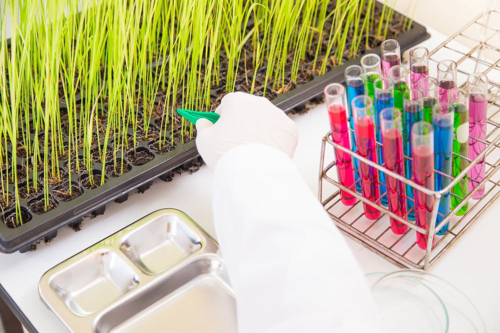 Master in agriculture and economics at University of Helsinki.jpg