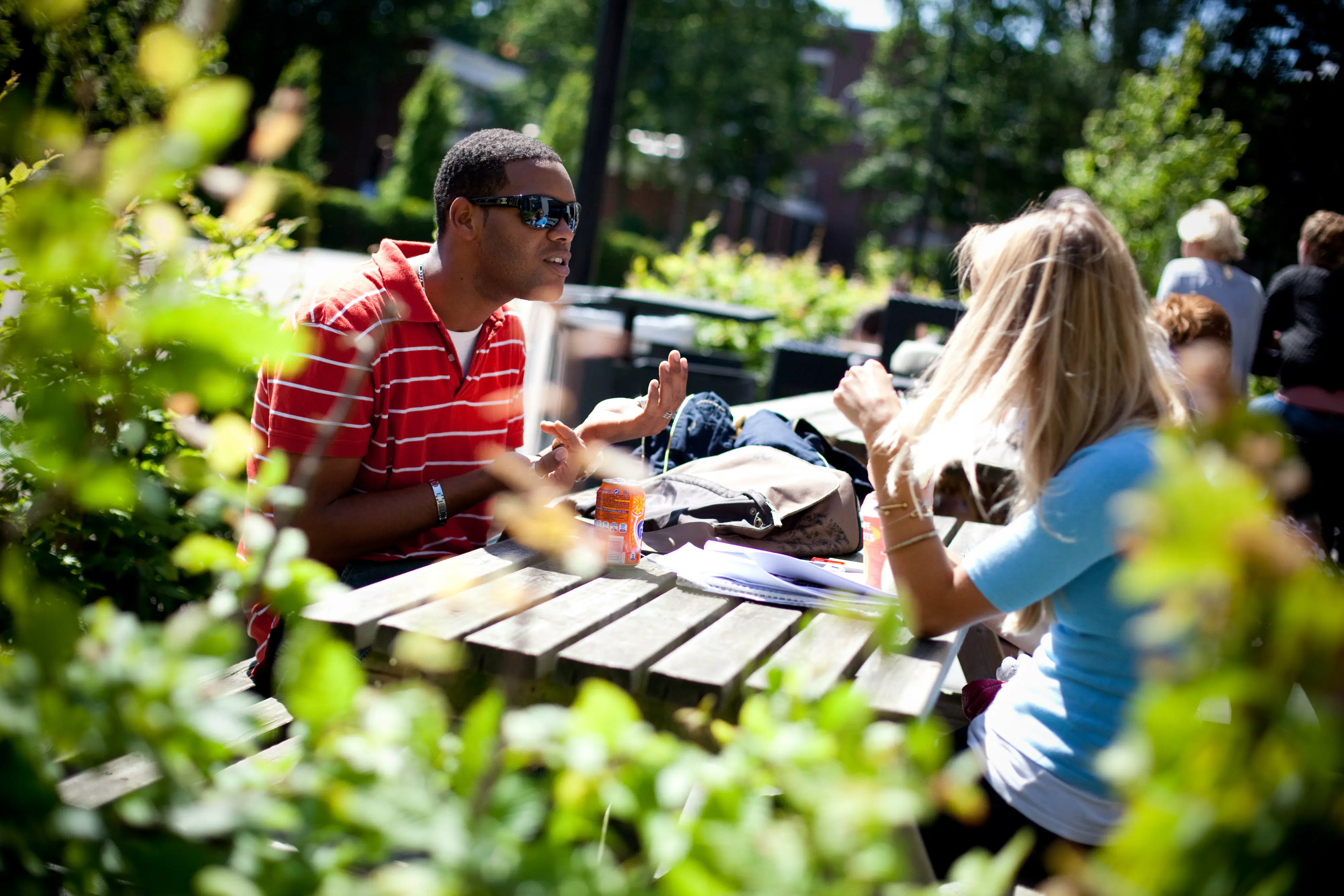 Brochure 20102222.jpg