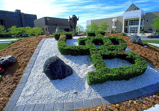 University At Buffalo University Info 217 Masters In English university-at-buffalo-university-info-217-masters-in-english