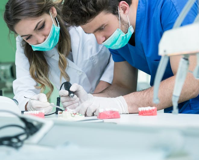 International Student Journey to a Well-Paid Dentistry Job -  MastersPortal.com