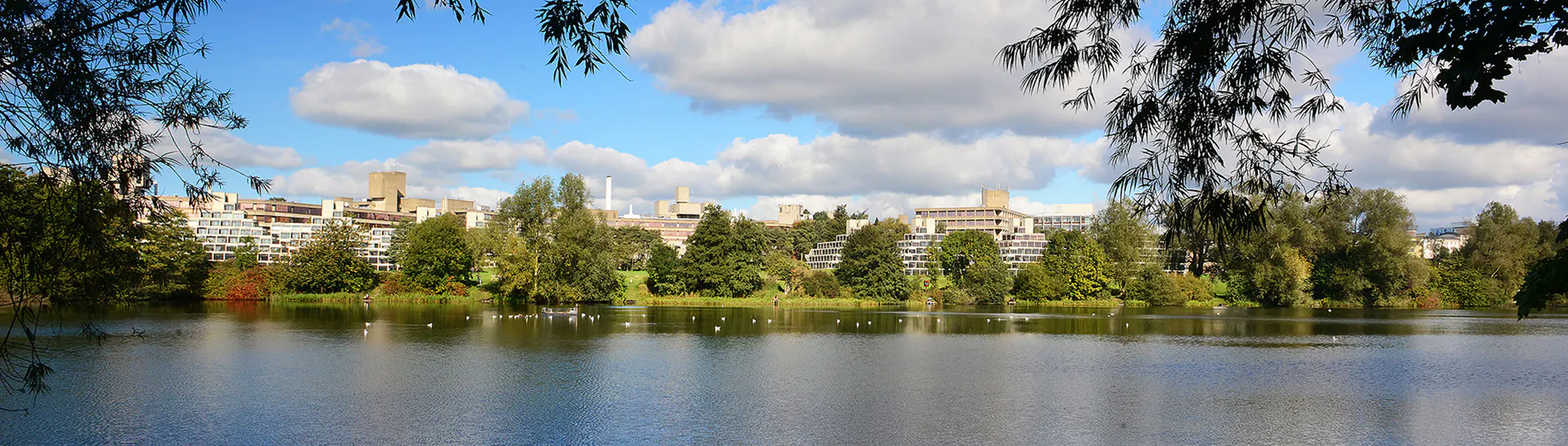 University of East Anglia