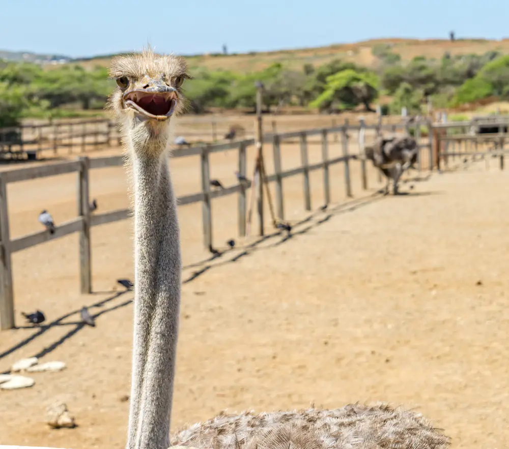 Uncommon careers for a student with a Veterinary degree.jpg