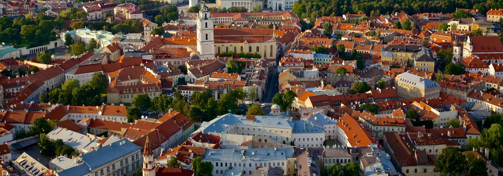 ISM University of Management and Economics