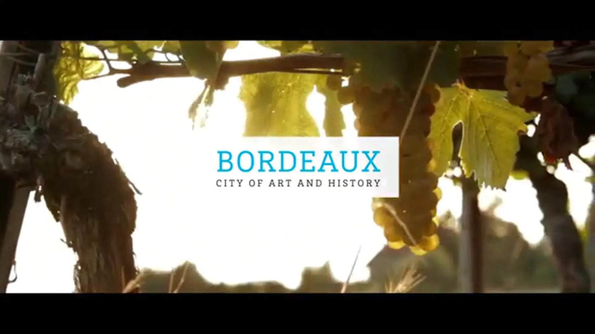 Welcome to the University of Bordeaux