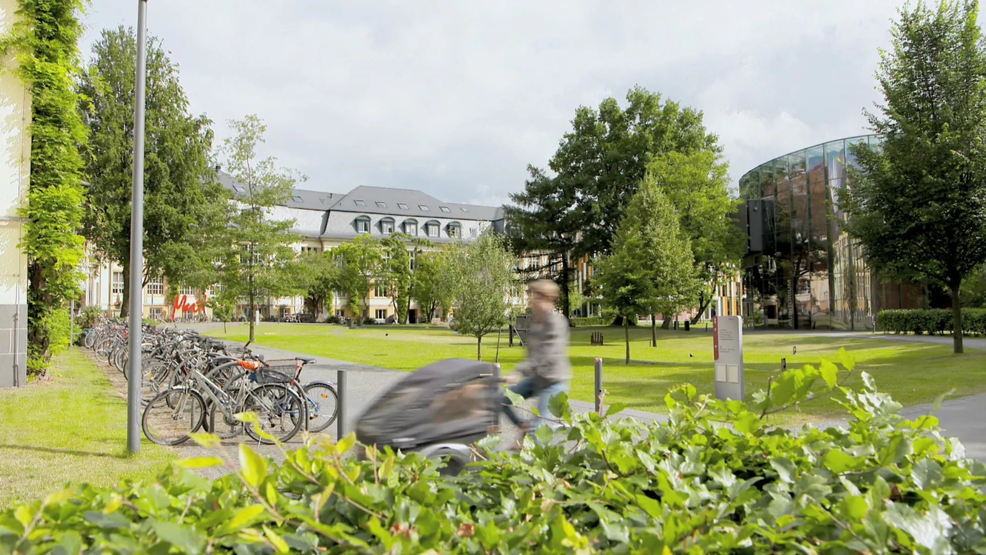 Video: Bucerius Law School