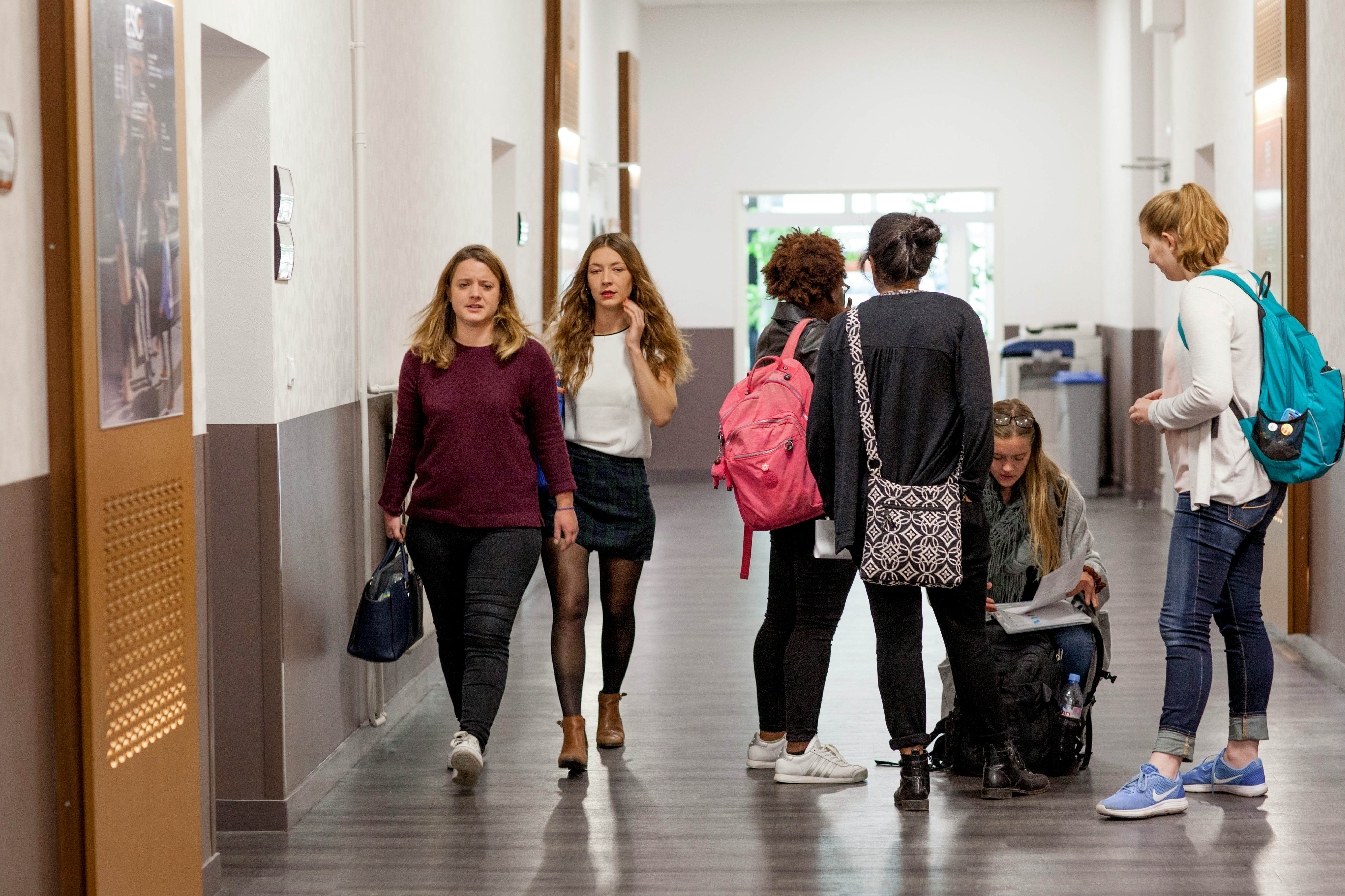 The Hall of the School