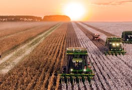 Why You Should Study a Master’s in Agricultural Economics in 2022