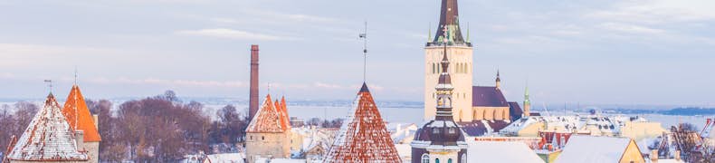 Study in Estonia - A Tech-Savvy International Destination Where Digital Nomads Feel at Home
