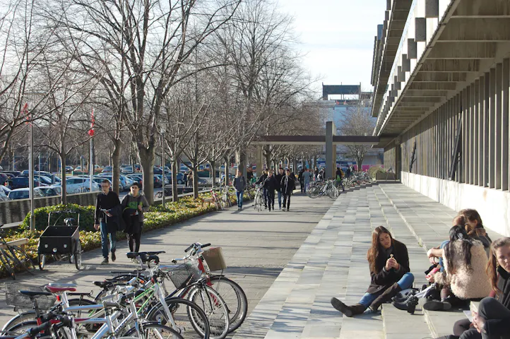Technical University of Denmark (DTU)
