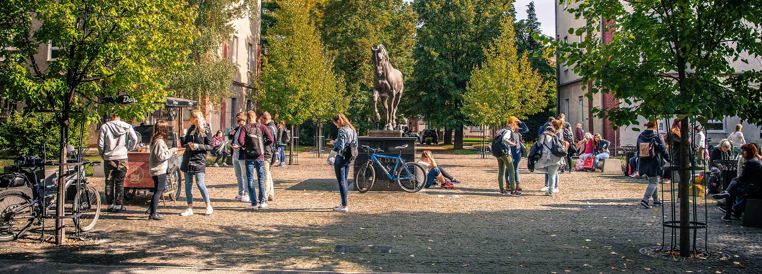 University of Veterinary Medicine and Pharmacy in Košice