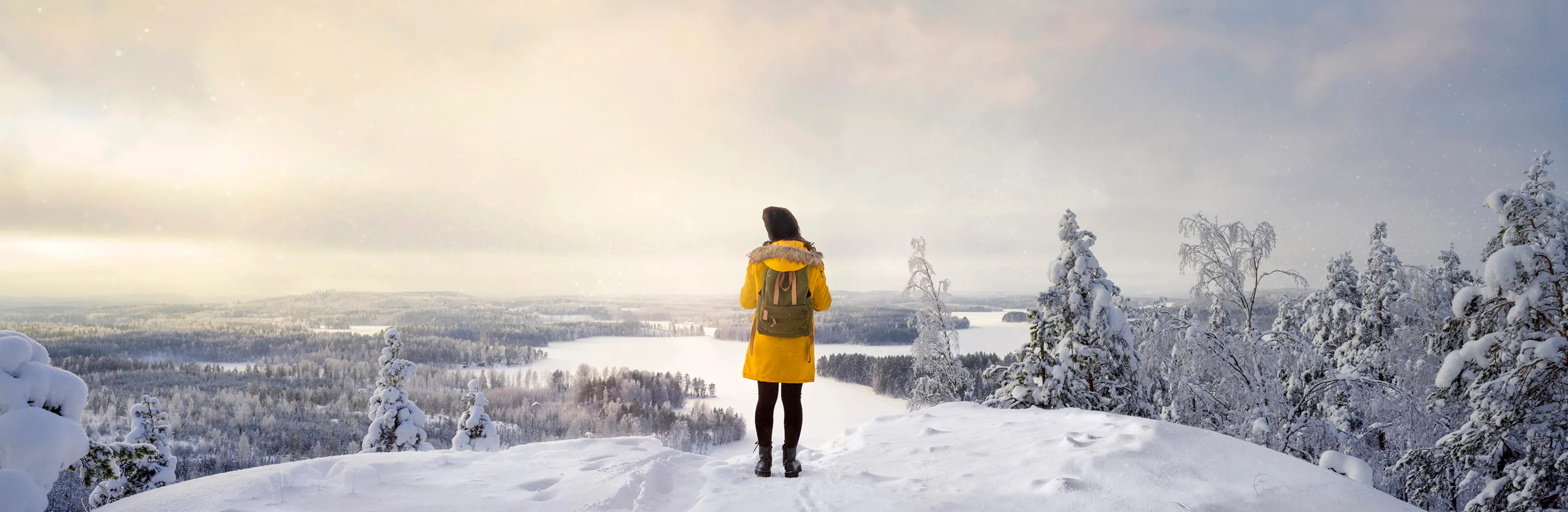 South-Eastern Finland University of Applied Sciences