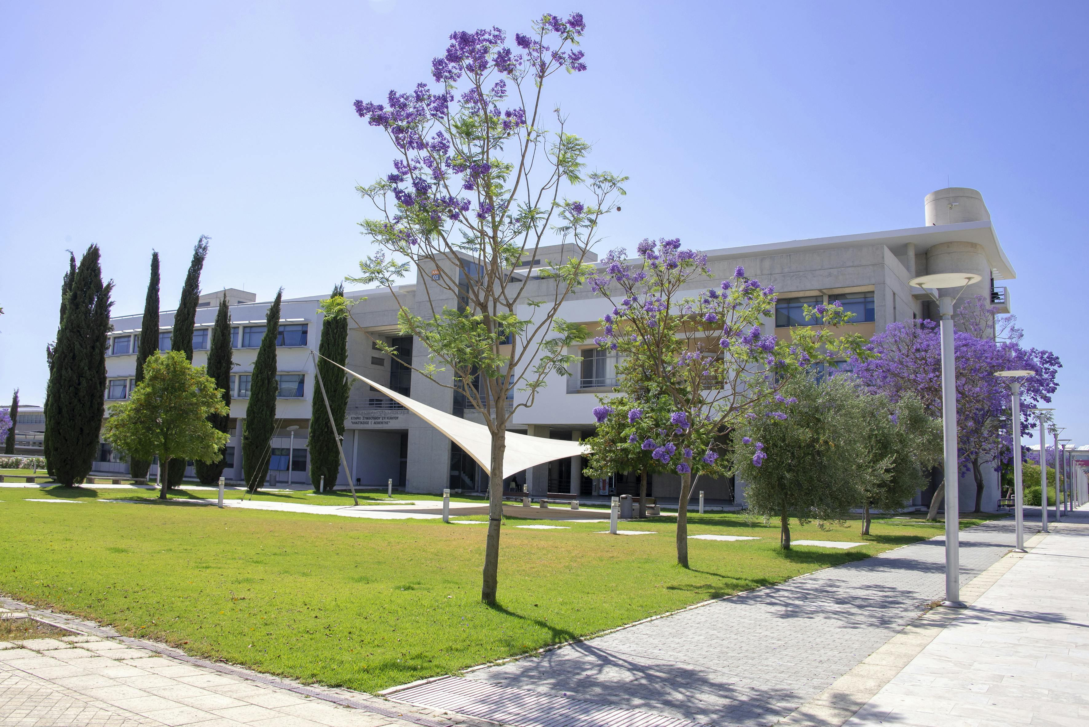 phd university of cyprus