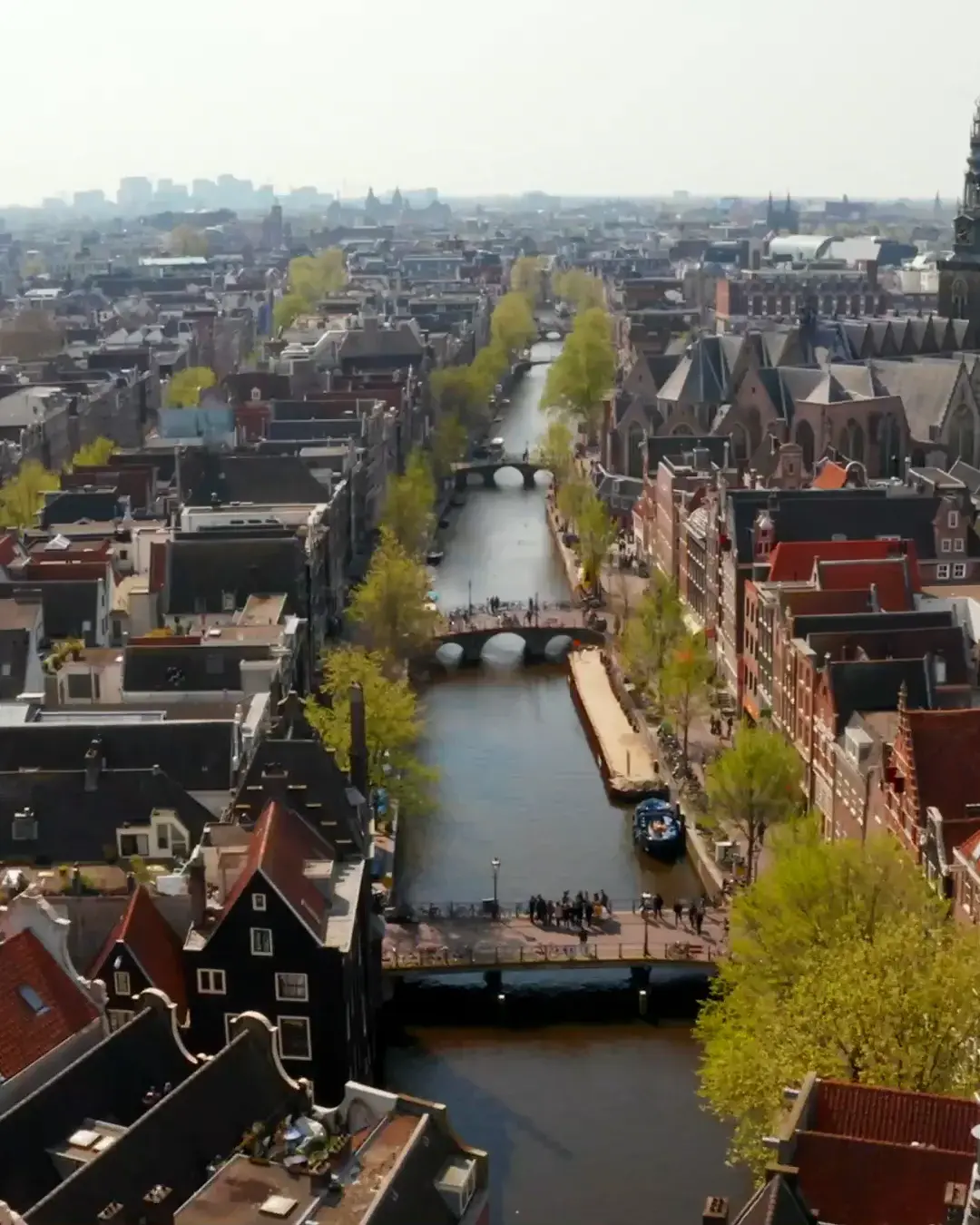 Experience Amsterdam with VU Amsterdam Su