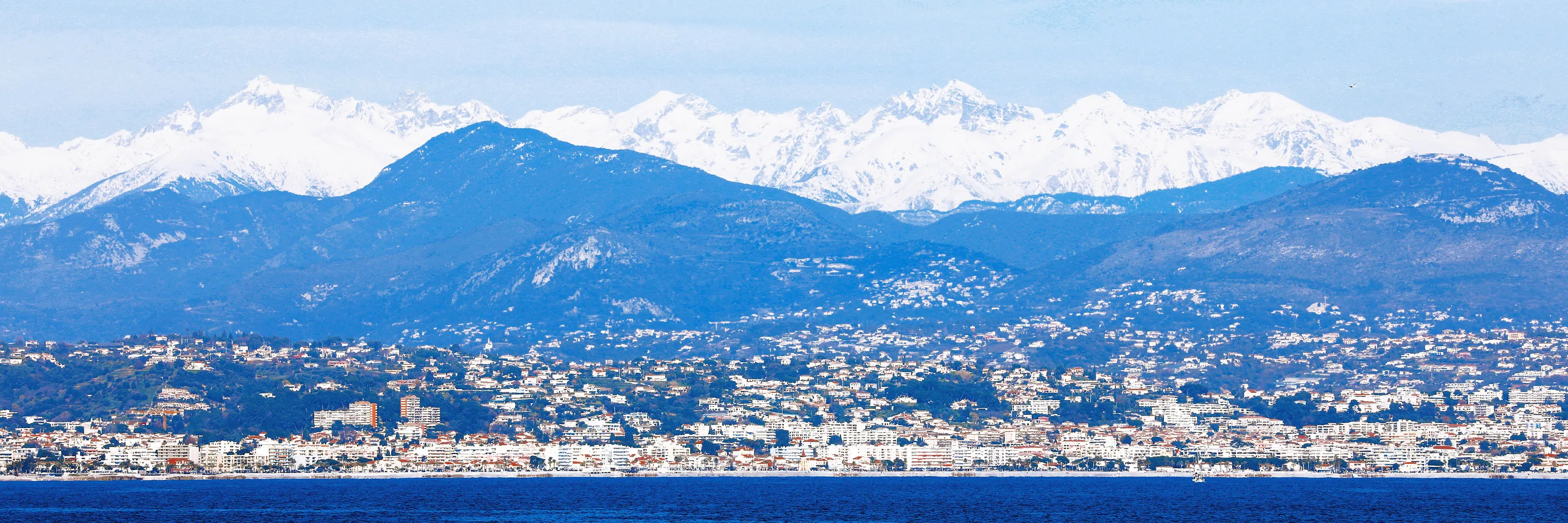 Université Côte d'Azur