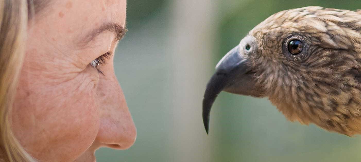 Master's Programme in Human-Animal Interactions
