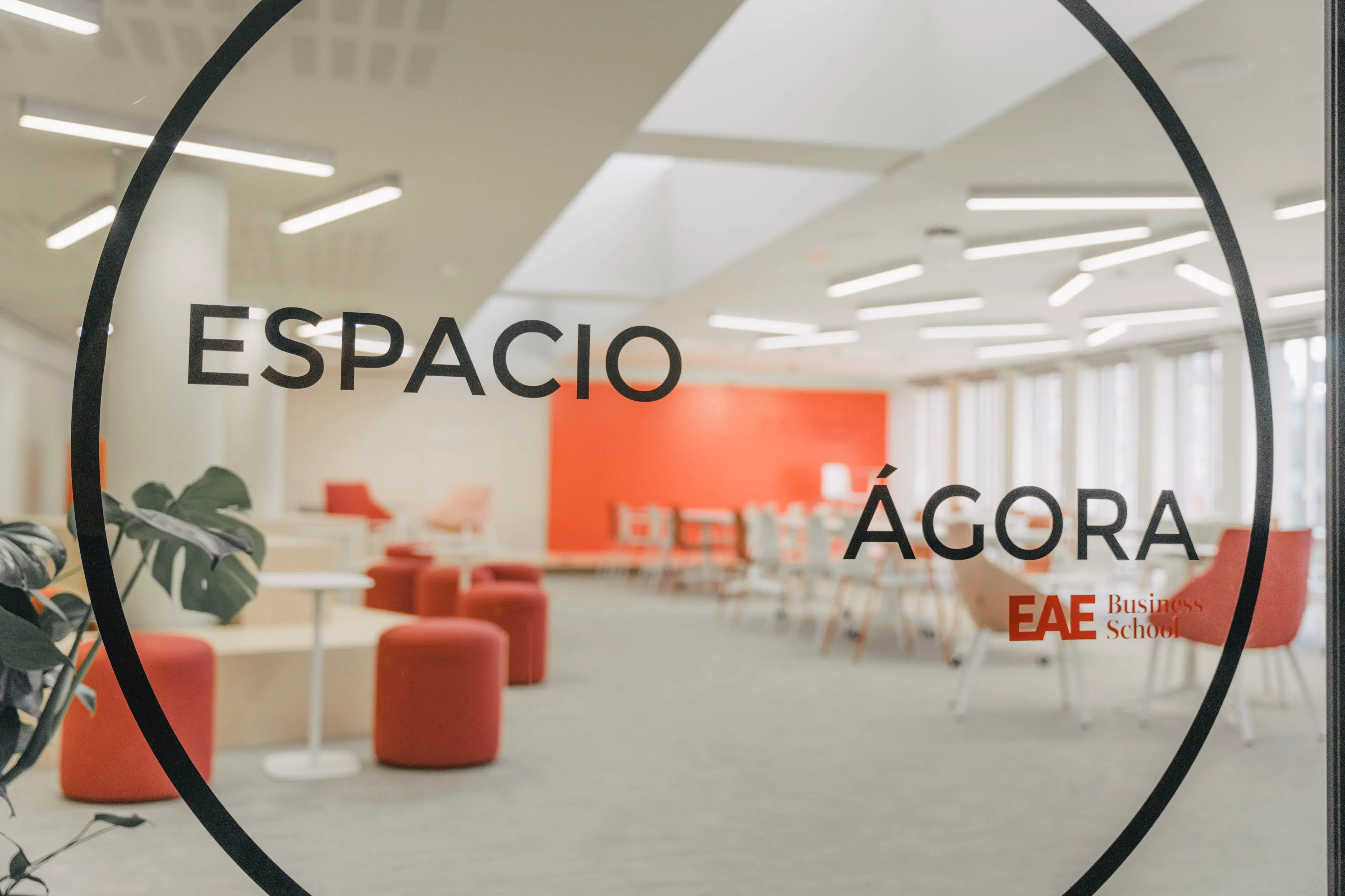 Ágora Meeting Room