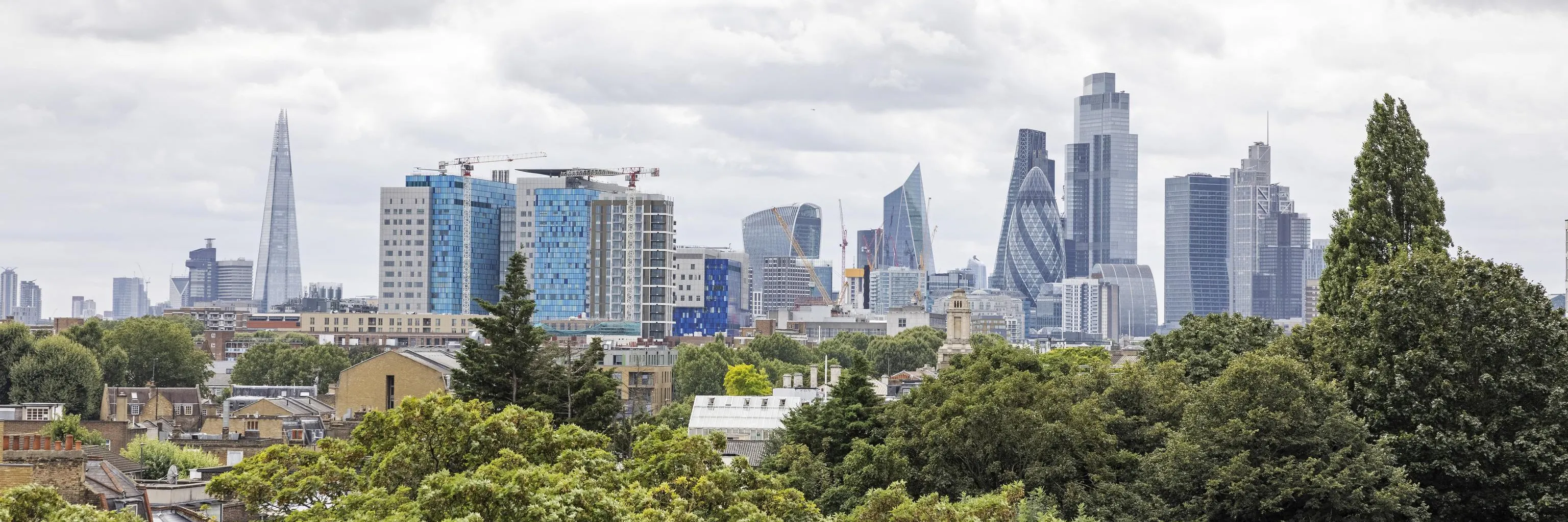 Medicine and Dentistry