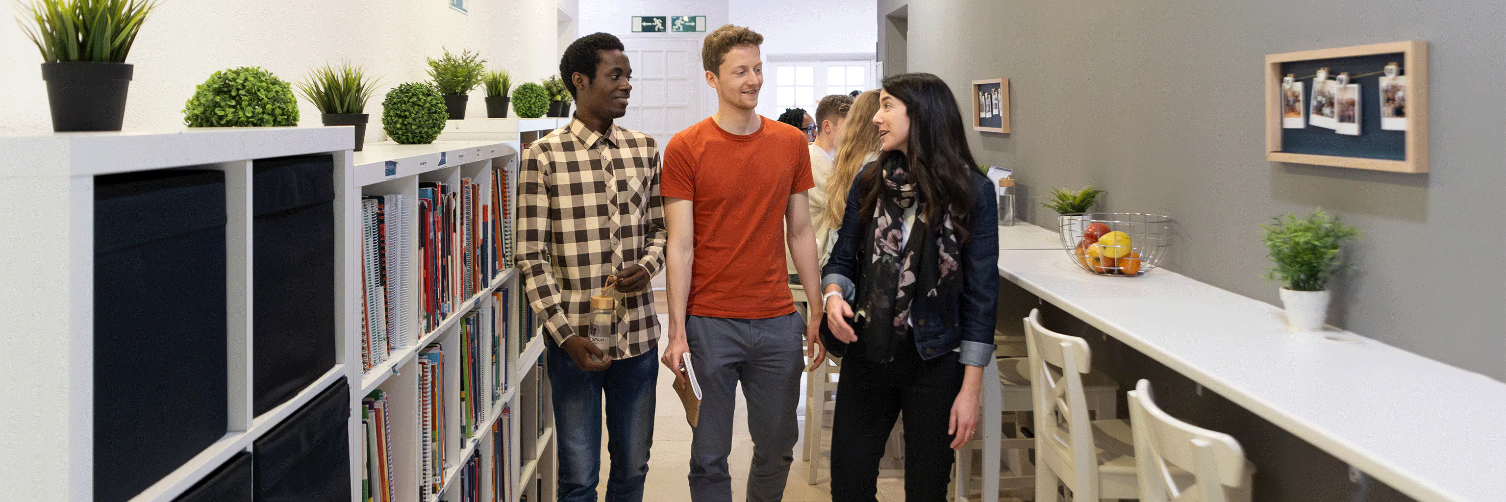 Business and Language College Spain