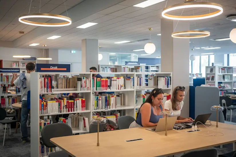 emlyon business school library