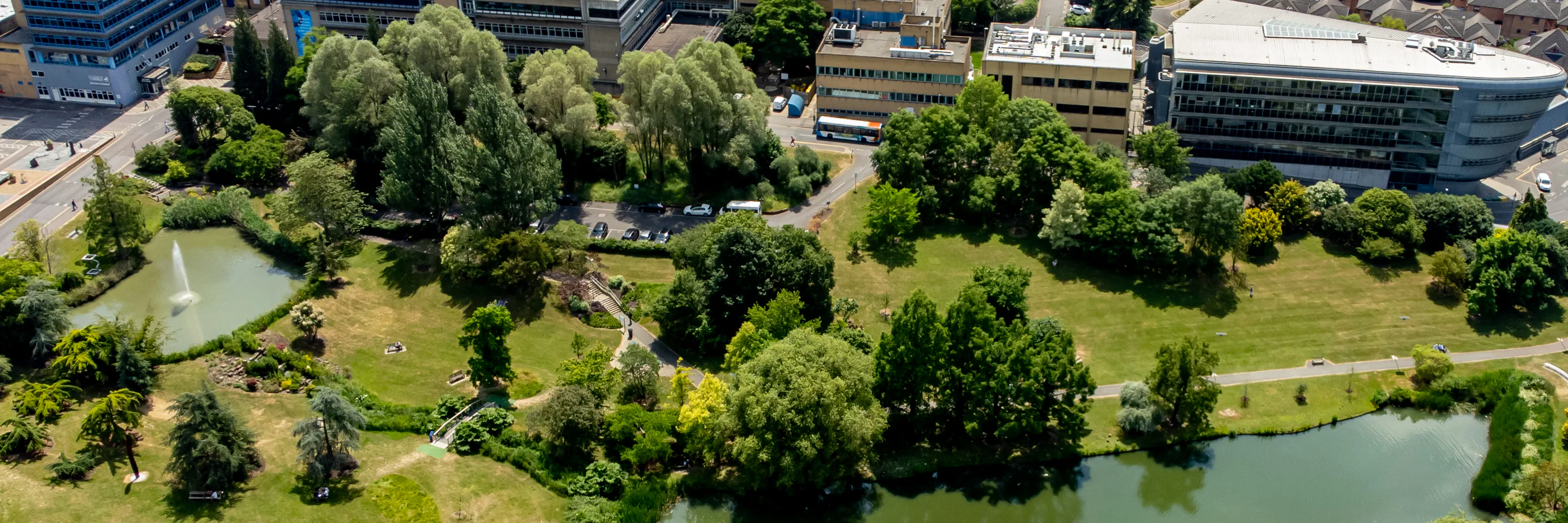University of Surrey
