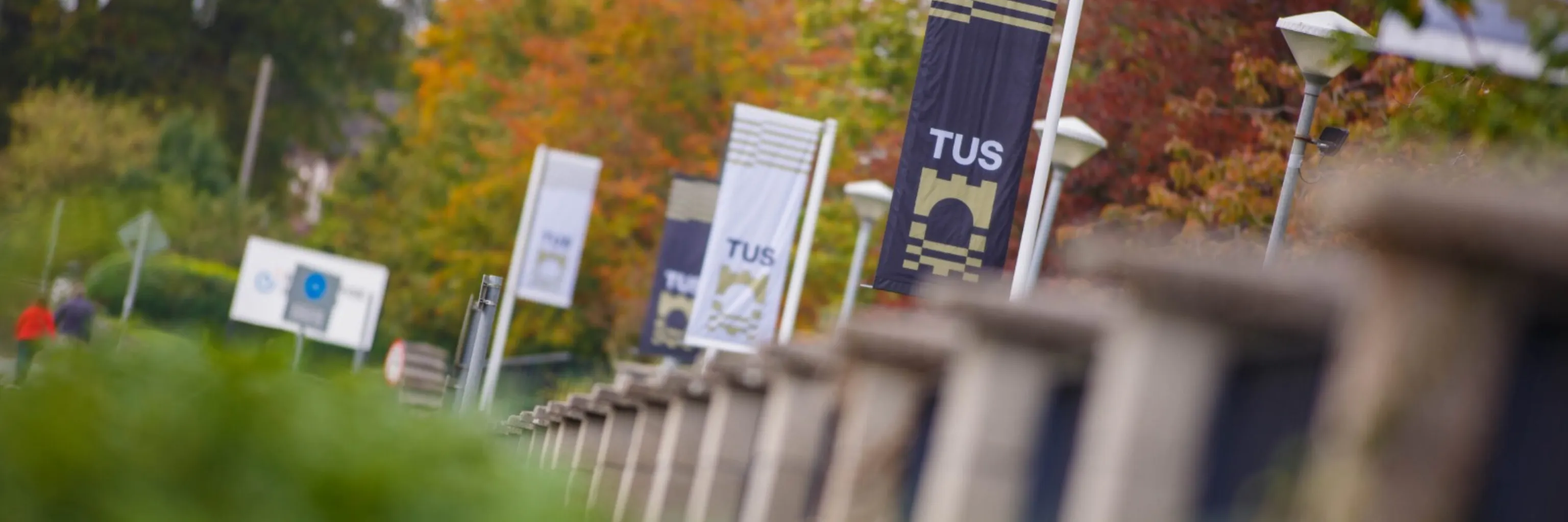 Technological University of the Shannon