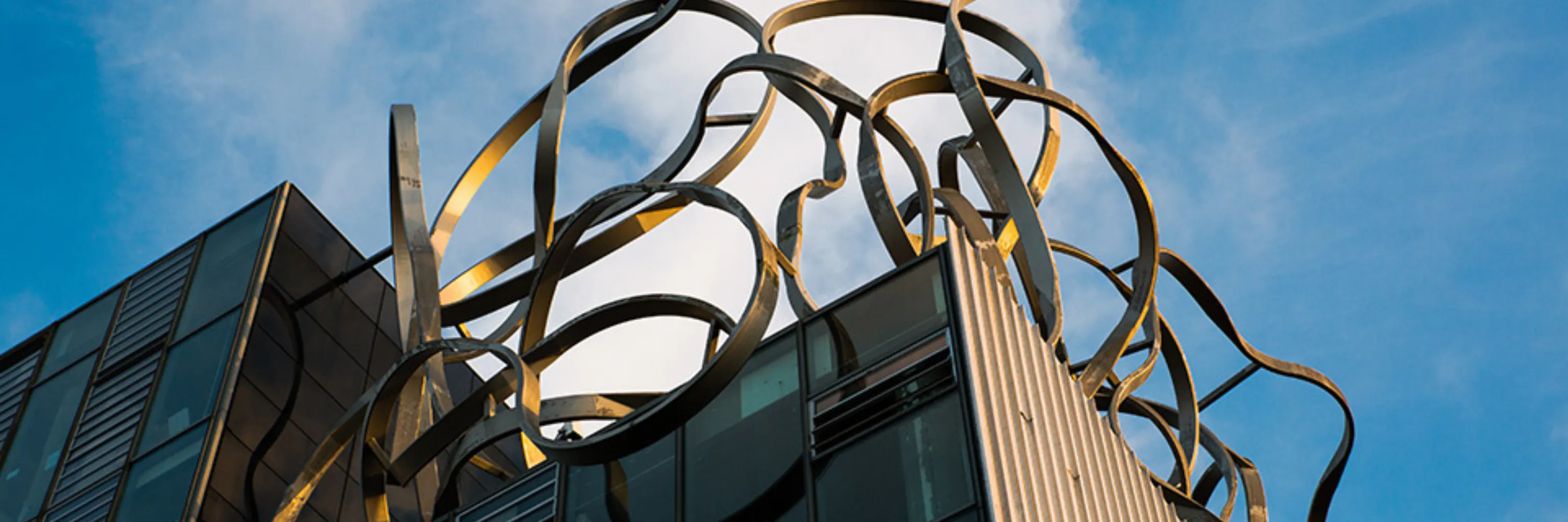 Goldsmiths University of London Online