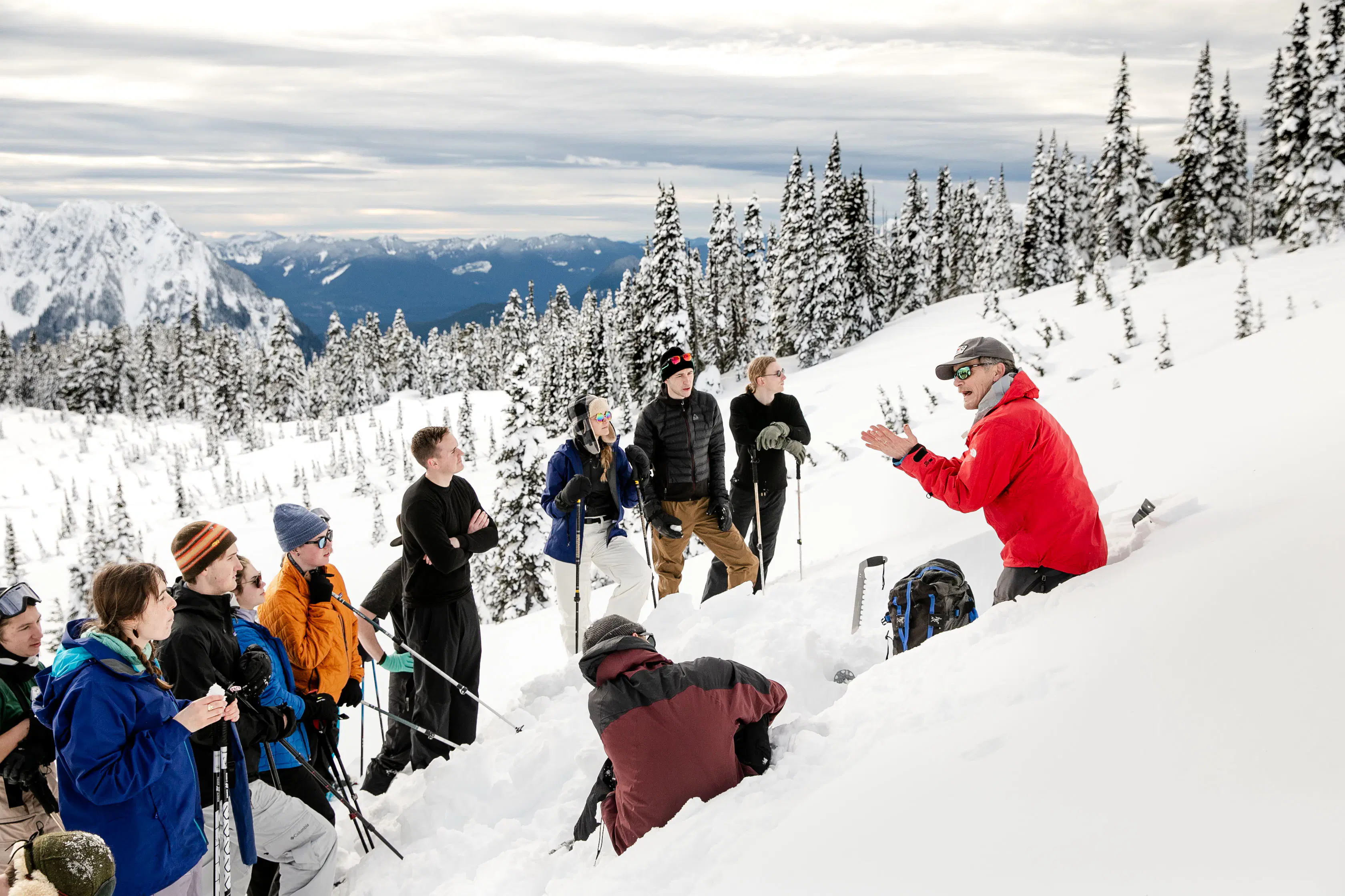 Snow Ecology