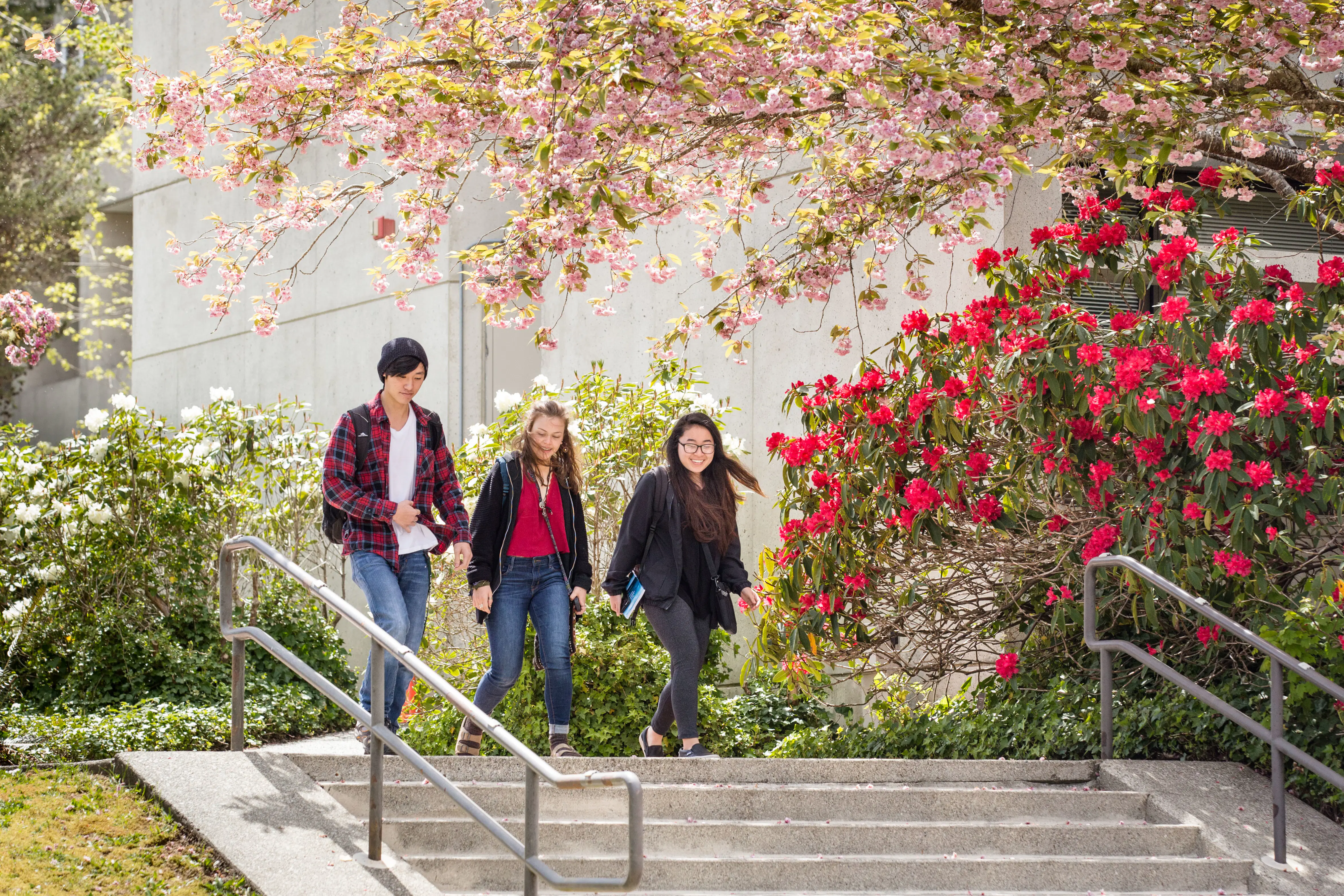 Students Spring