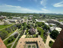 UMass Campuses Compared: Acceptance Rates, Tuition, Rankings, and How to Choose